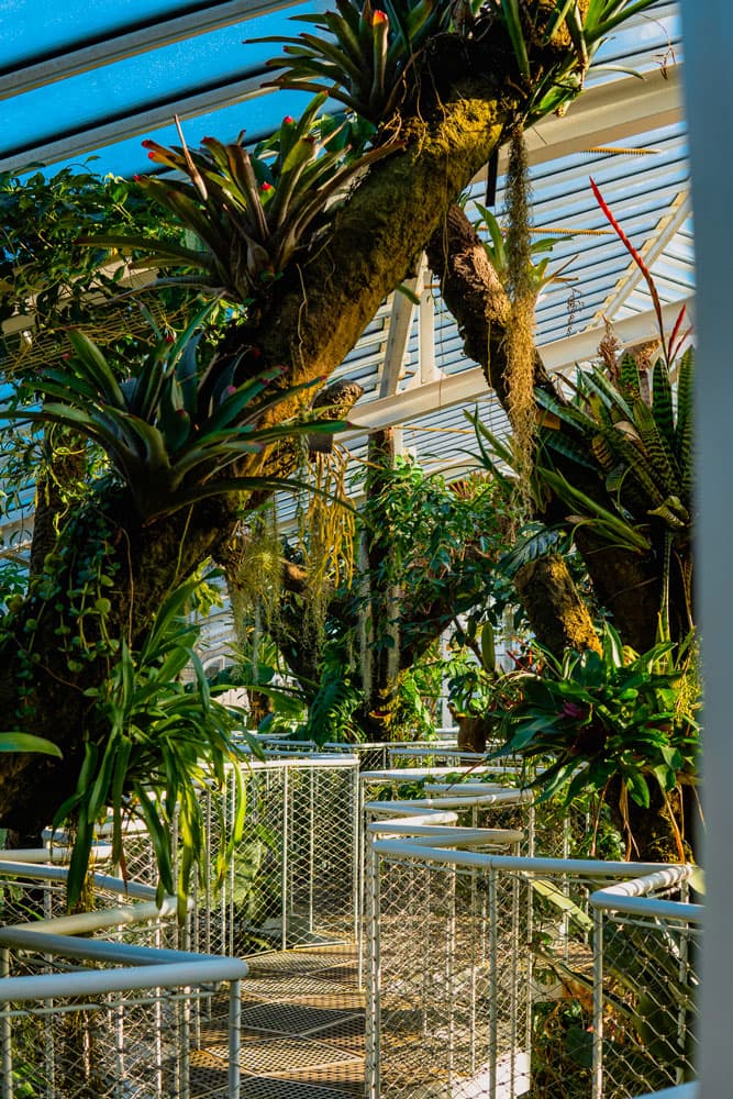 Lieux, photo 6