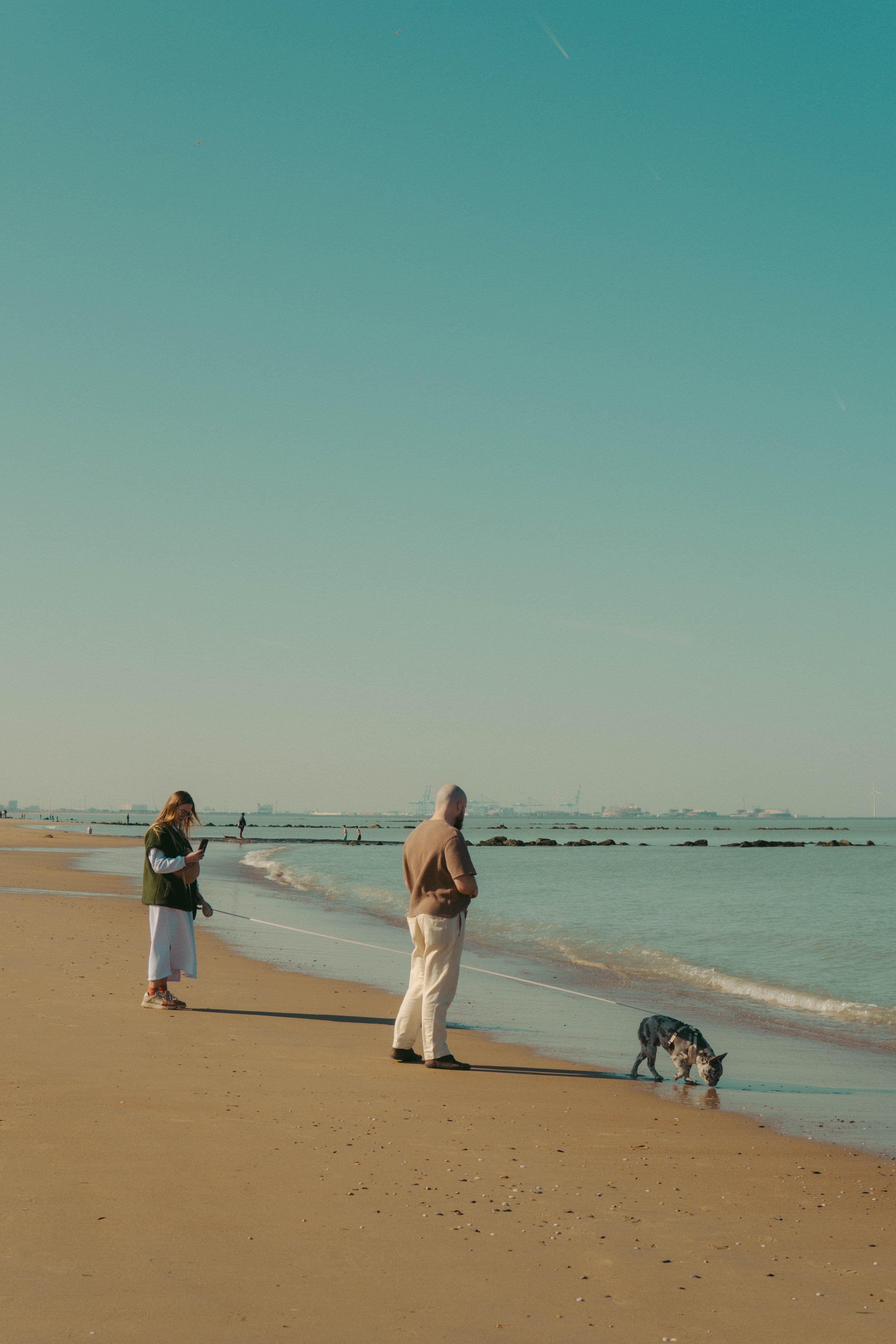 Voyages, photo 11
